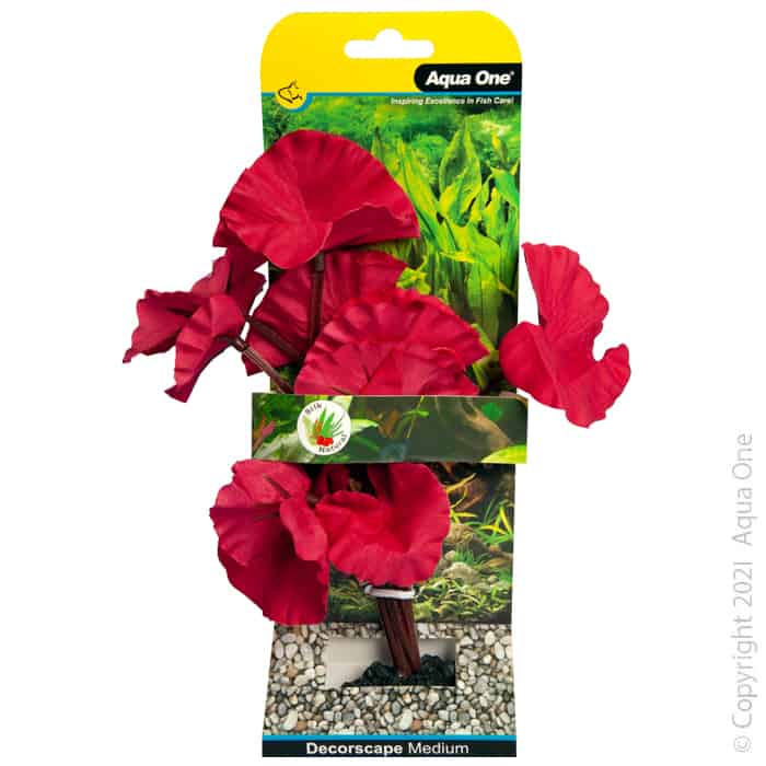 Silk Plant Tiger Lotus Red Md-1