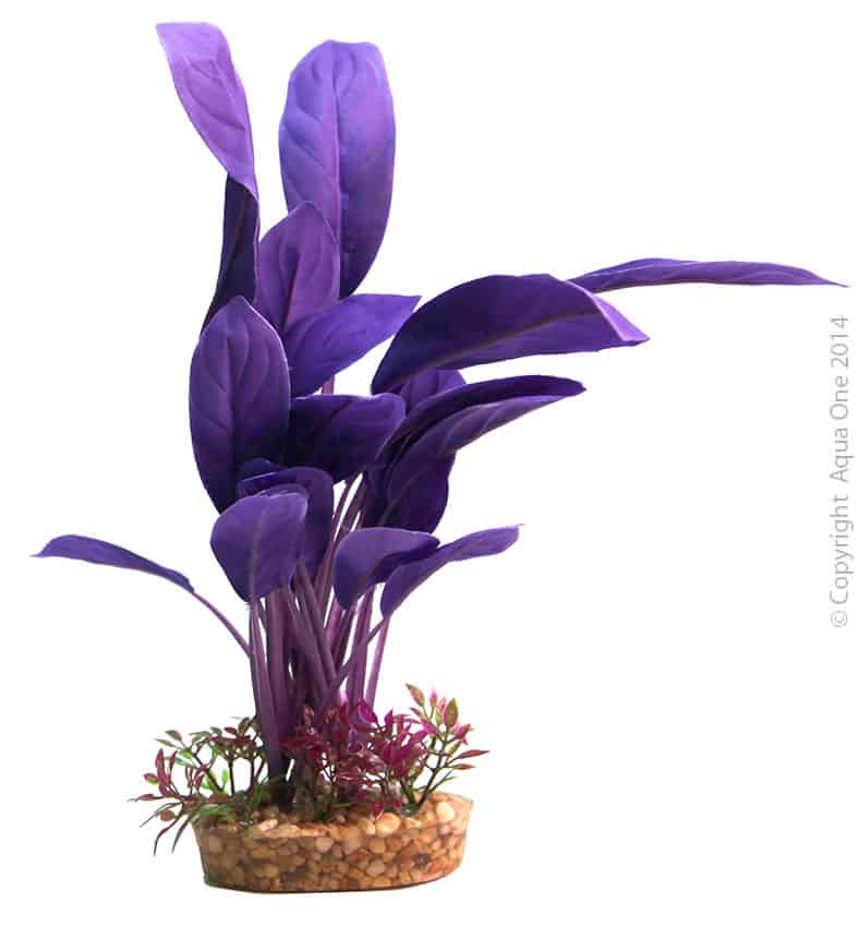 Silk Plant Purple Echinodorus W Gravel Base L-1