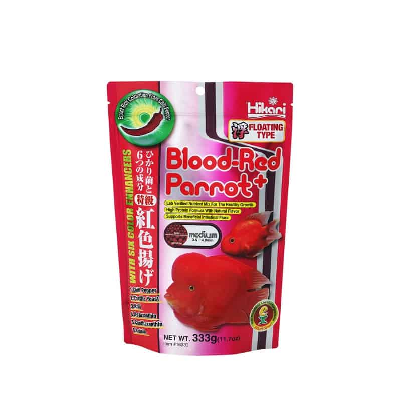 Blood Red Parrot Plus Medium - 333g-1