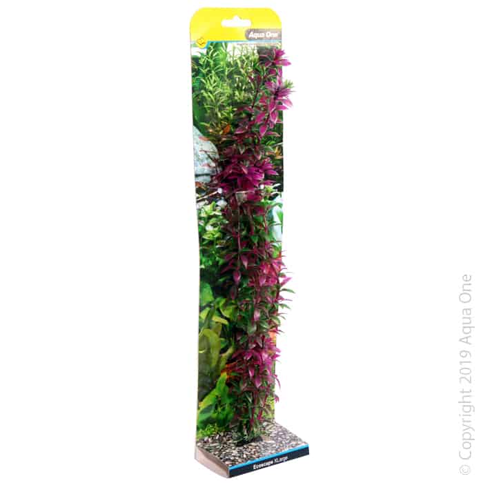 Ecoscape Xlarge Rotala Red-1