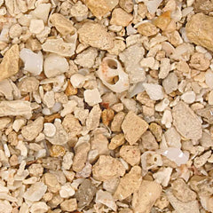 GeoM Florida Crushed Coral-1