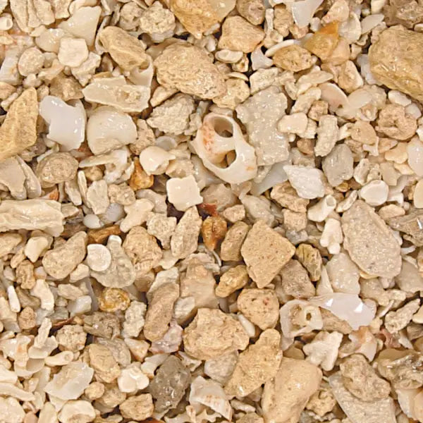 GeoM Florida Crushed Coral