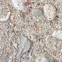 Arag-Alive West Caribbean Reef-1