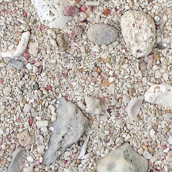 Arag-Alive West Caribbean Reef