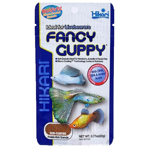 Hikari Fancy Guppy - 22g-1