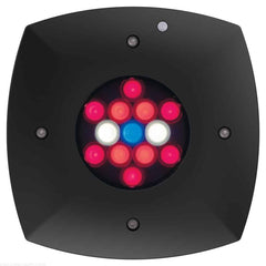 AI Prime Fuge 16 HD LED Light-1