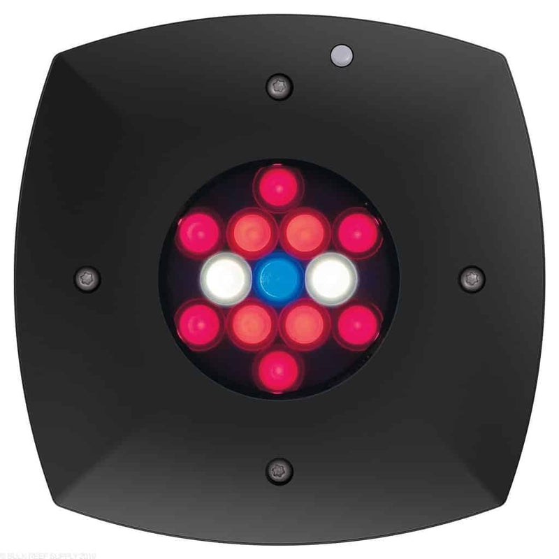 AI Prime Fuge 16 HD LED Light-1