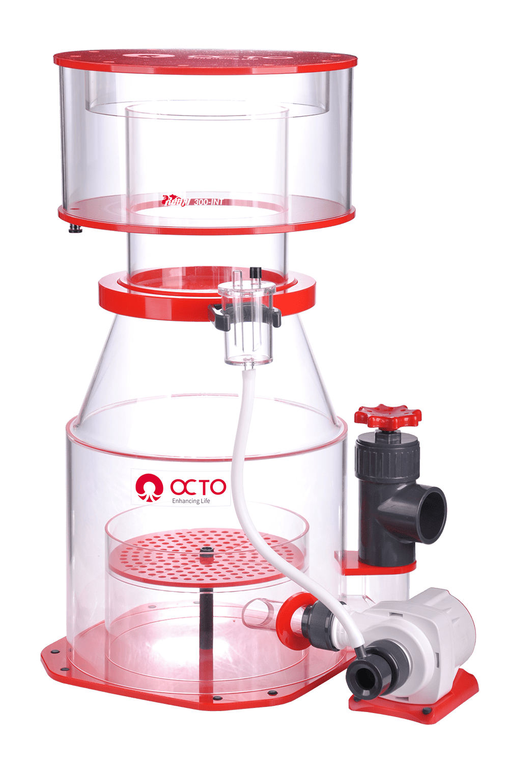 OCTO Regal 300-INT