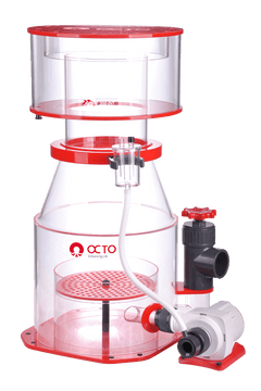 OCTO Regal 300-INT-1