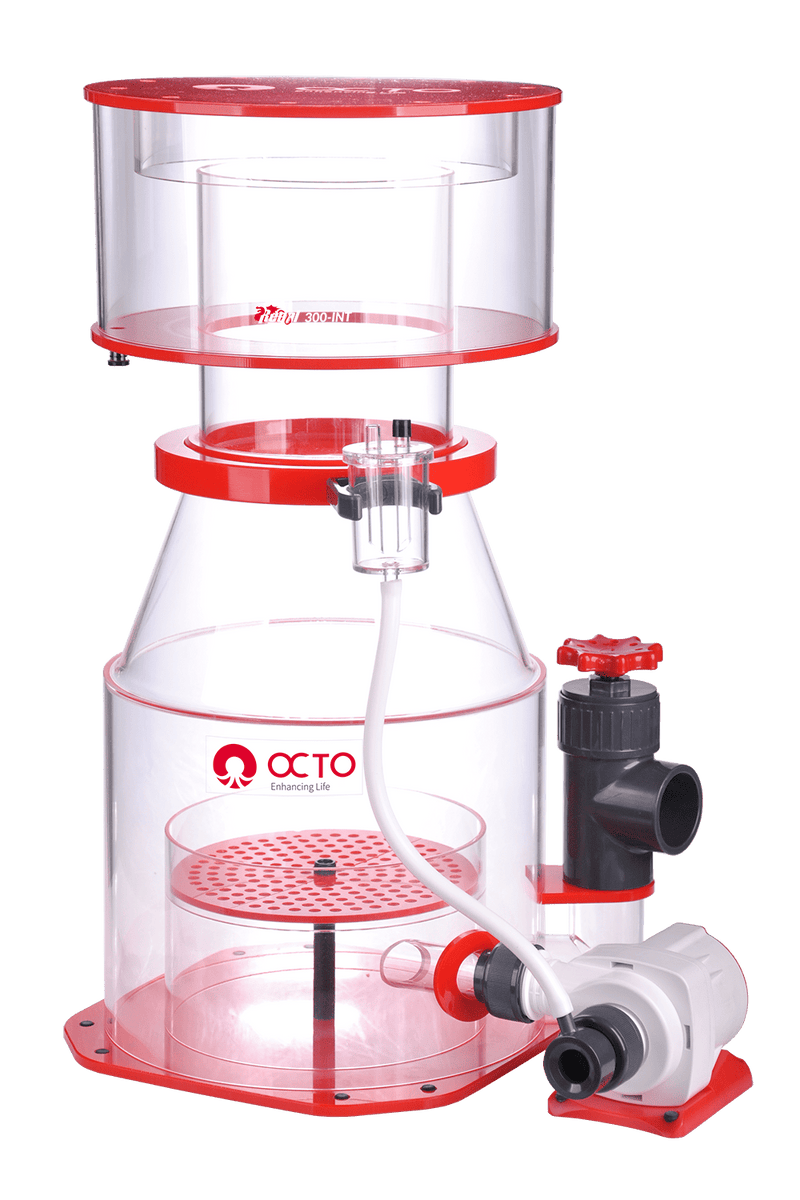 OCTO Regal 300-INT-1