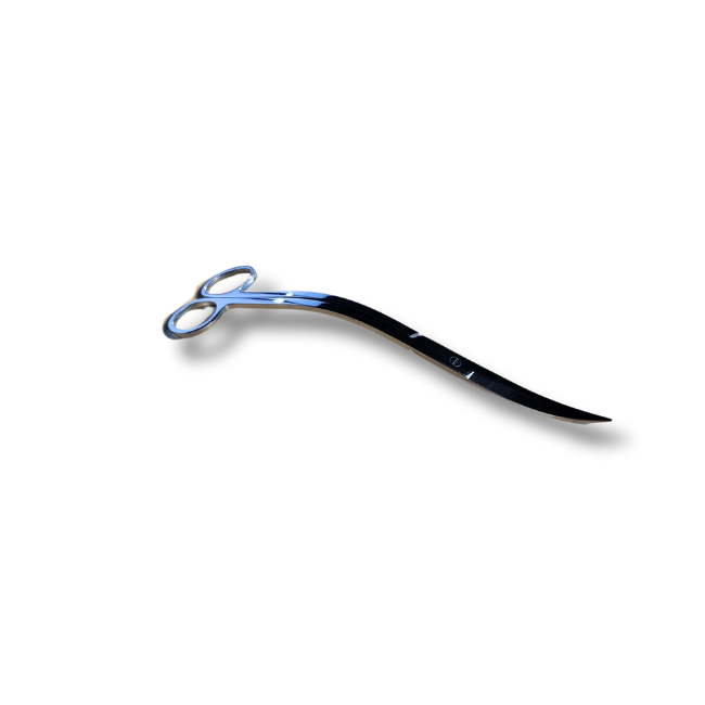 Curved Scissors 25cm-1