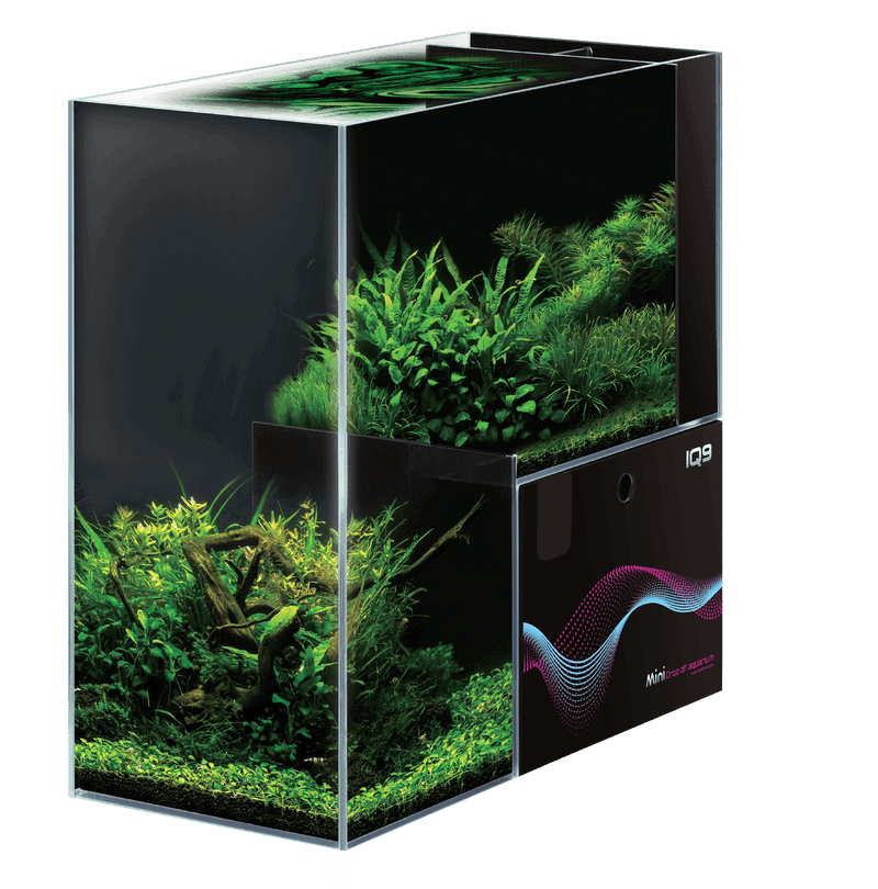 Dymax IQ9 Mini Drop Off Aquarium 48L Freshwater-1