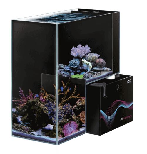 Dymax IQ9 Mini Drop Off Aquarium 48L Marine-1