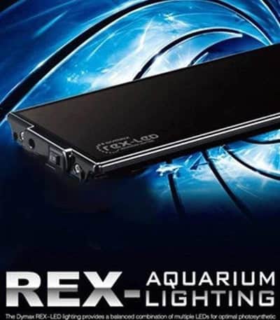Dymax REX LED Freshwater Pink & White-3
