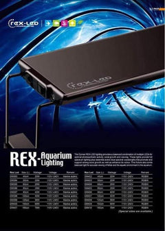 Dymax REX LED Marine Actinic Blue & White-3