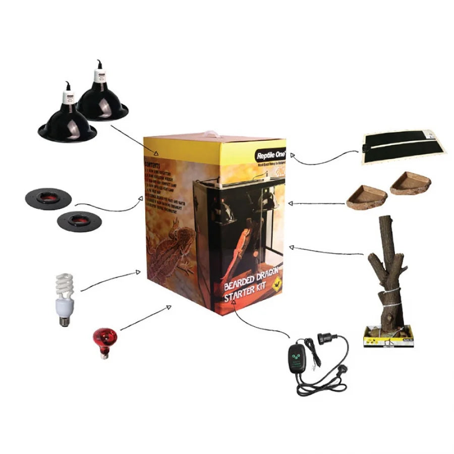 Reptile One Bearded Dragon Starter Kit Accessory Pack In A Box