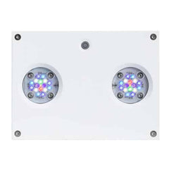 Hydra 32 HD White-2