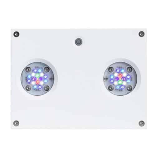 Hydra 32 HD White-2