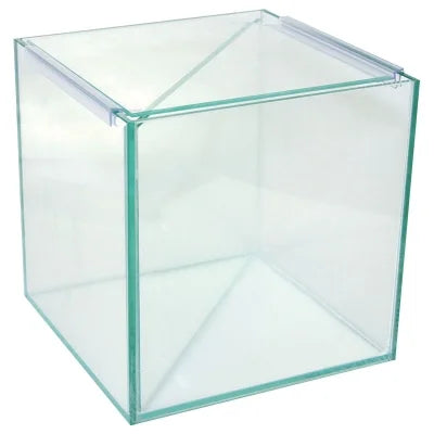 Betta Divided Glass Tank 20Wx20Dx20cmH-1