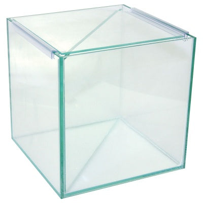 Betta Divided Glass Tank 20Wx20Dx20cmH