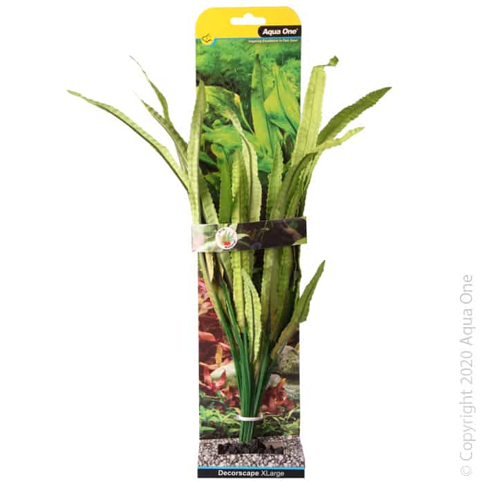 Silk Plant African Onion Plant XL-1