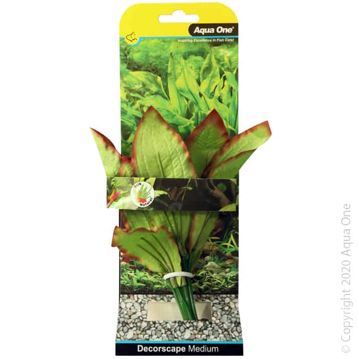 Silk Plant Amazon Red Green Md-1