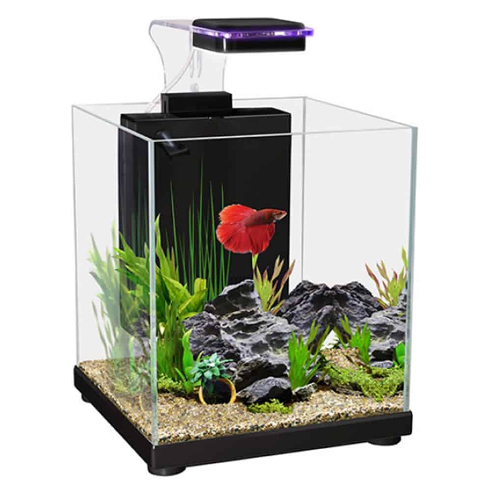 Aqua One Betta Sanctuary-2