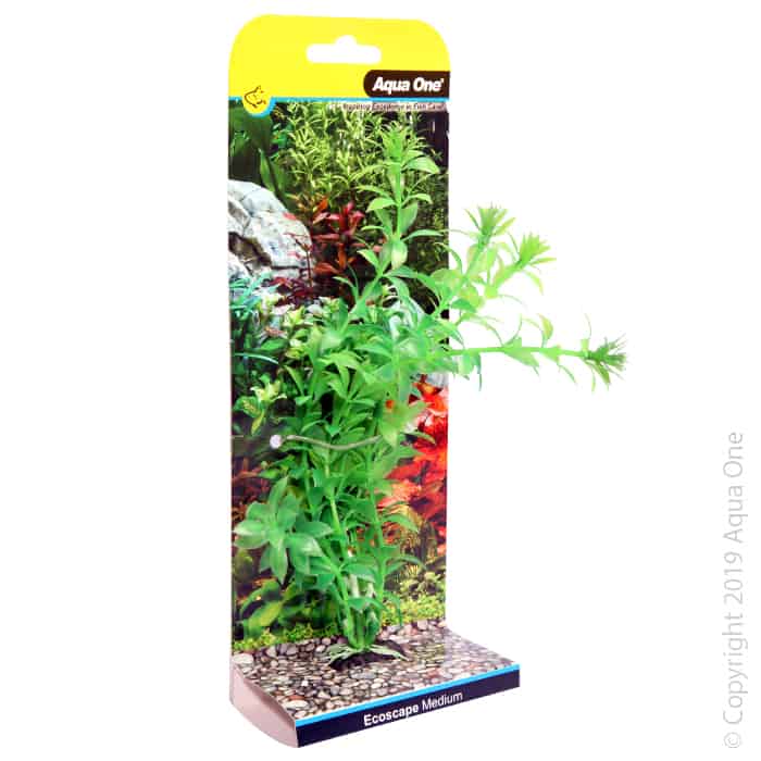 Ecoscape Medium Ludwigia Green-1