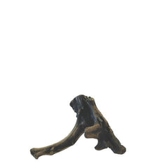NZ Exotic DriftWood S 20cm-1