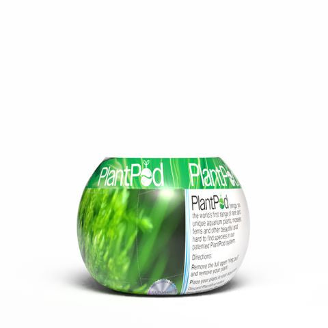 PlantPod Mini Christmas Moss Small