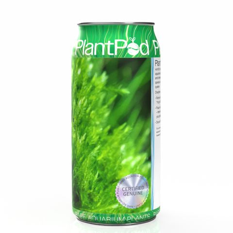 PlantPod Mini Christmas Moss Large-1