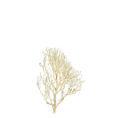 Coral DriftWood Small 15-20cm-1