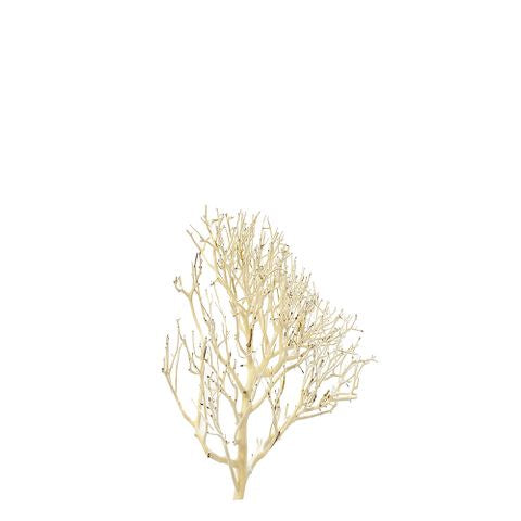 Coral DriftWood Small 15-20cm