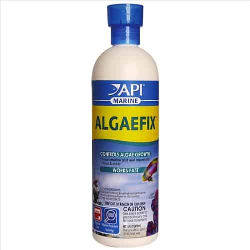 API Marine Algaefix 473ml-1