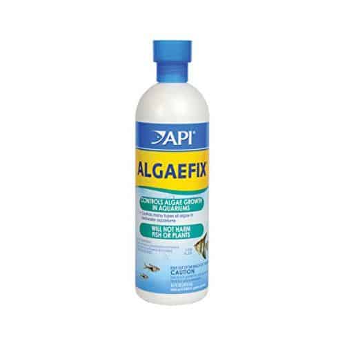 API Algaefix 237ml-1