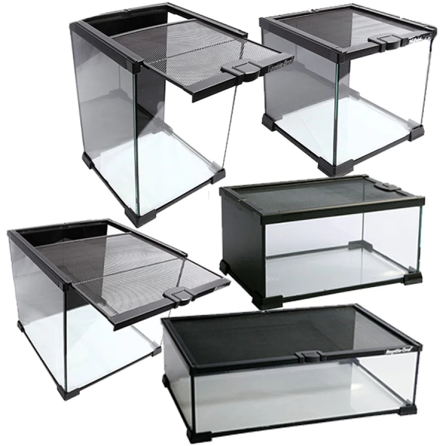 Reptile One Mini T2 Glass Tank Wire Mesh Lid 20x20x30cm Black With Black Background