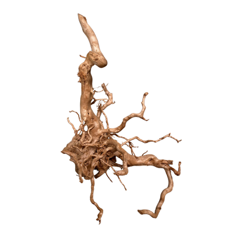 Dymax Tweety Wood Large-1