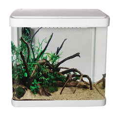 LifeStyle 21 Complete Glass Aquarium-1
