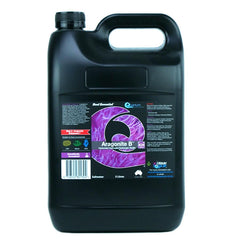 Aragonite B - 5L-1