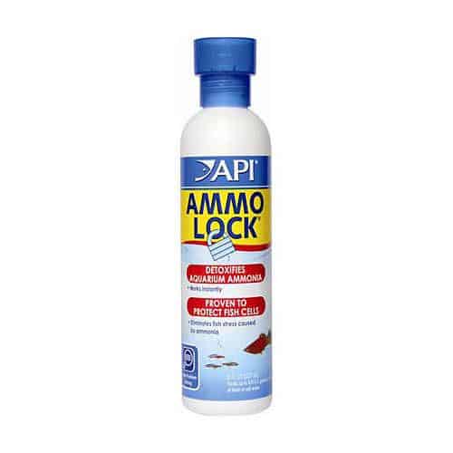 API Ammo Lock 237ml-1