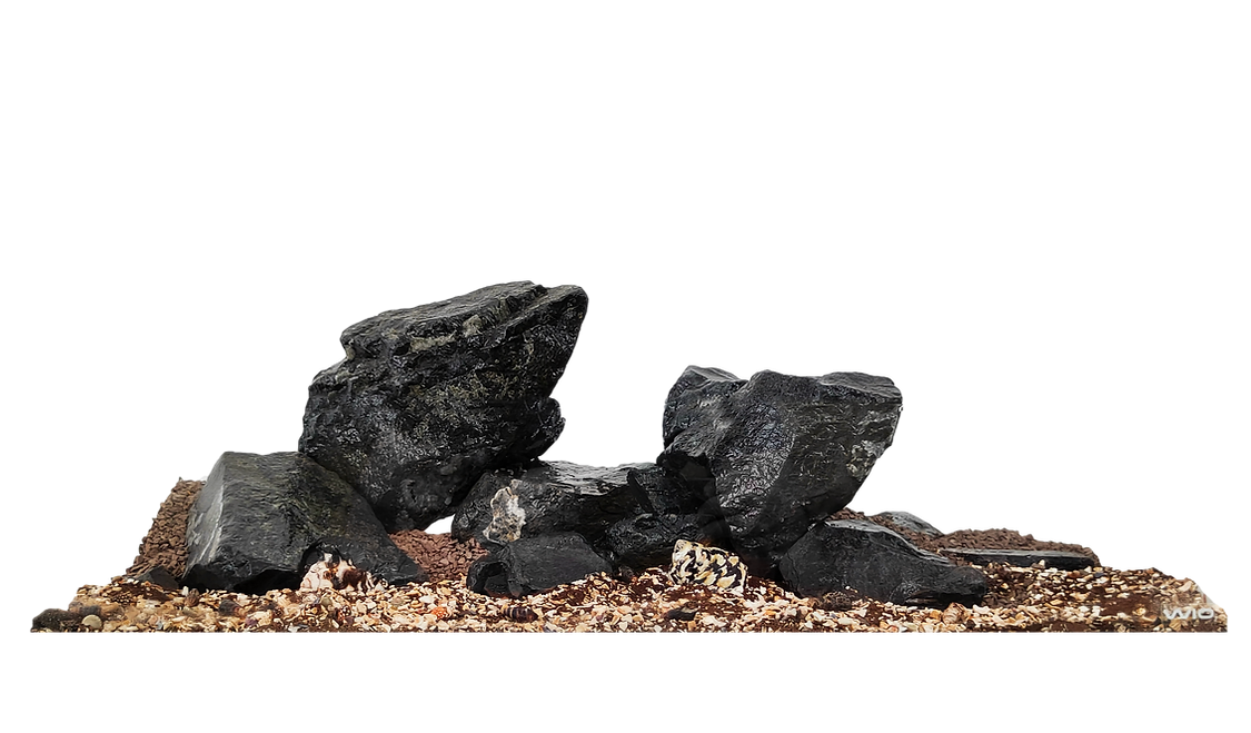 WIO Nautilus Dark River Kit