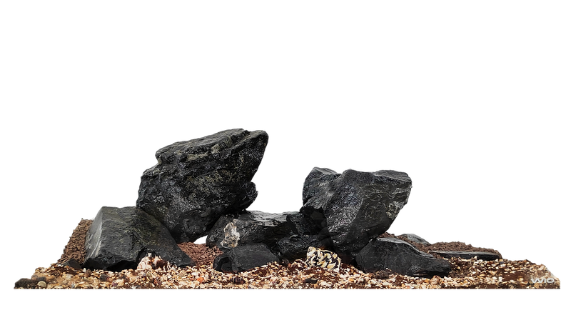 WIO Nautilus Dark River Kit-1