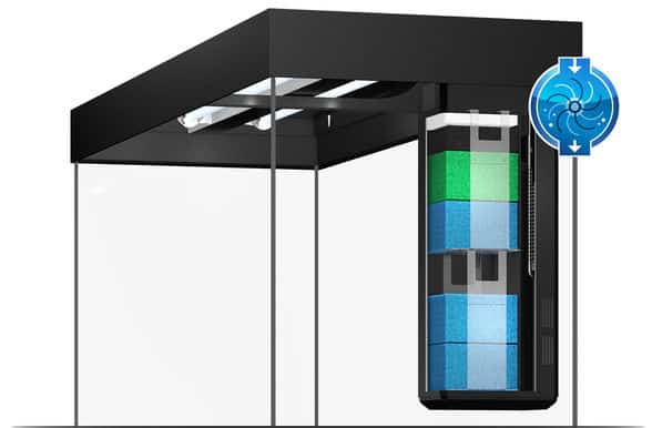 Juwel Rio 450 LED Aquarium Dark Wood-6