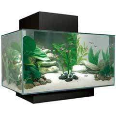 Fluval EDGE 2.0 LED Aquarium 23L