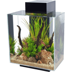 Fluval EDGE 2.0 LED Aquarium 46L-1