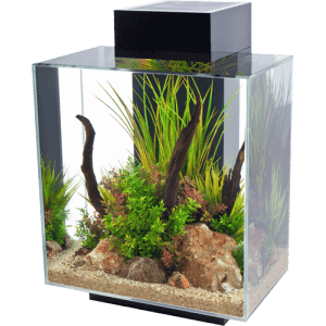 Fluval EDGE 2.0 LED Aquarium 46L-1