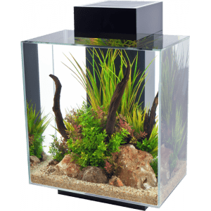 Fluval EDGE 2.0 LED Aquarium 46L-1