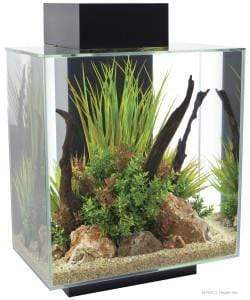 Fluval EDGE 2.0 LED Aquarium 46L-2