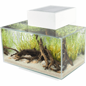 Fluval EDGE 2.0 LED Aquarium 23L-3