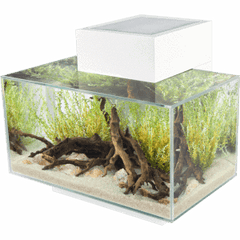 Fluval EDGE 2.0 LED Aquarium 23L-3